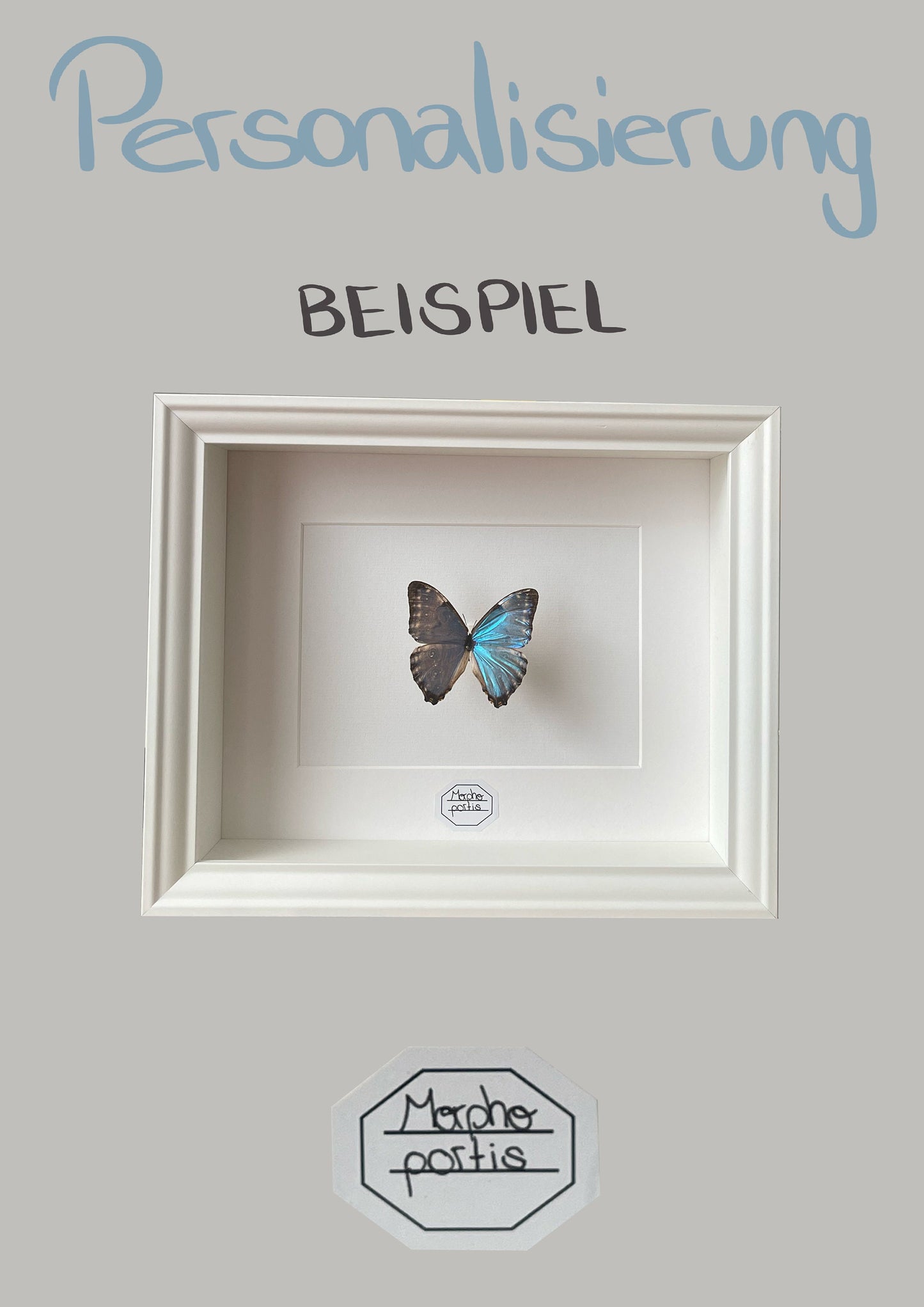 APRIKOFALTER - Appias Nero Zarinda -  Schmetterling im Rahmen - Präparat - Insekt